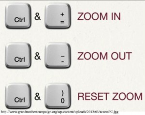 ctrlZoomtip