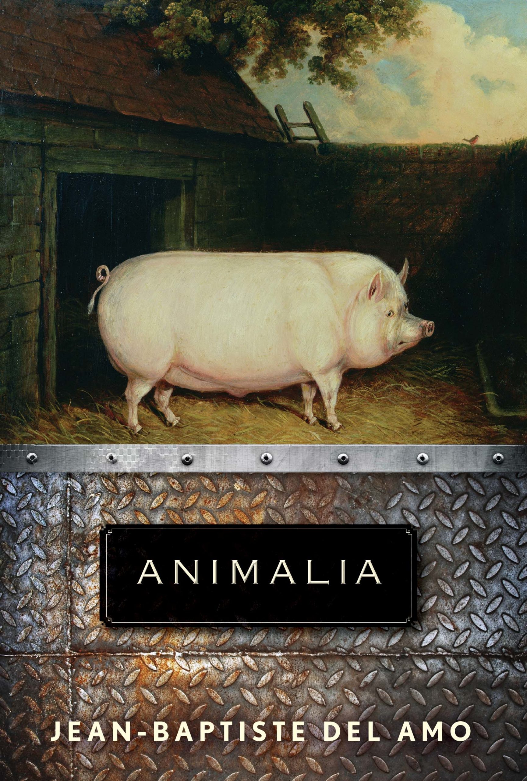 Cover of Animalia, with painting of a pig.