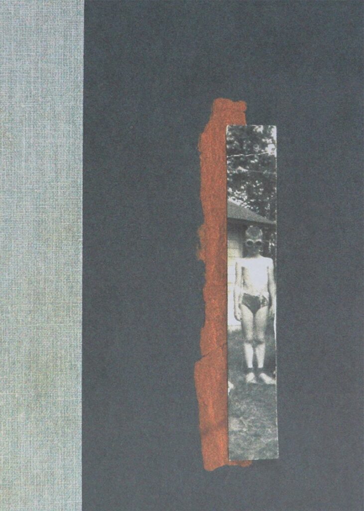 Cover of Nox.